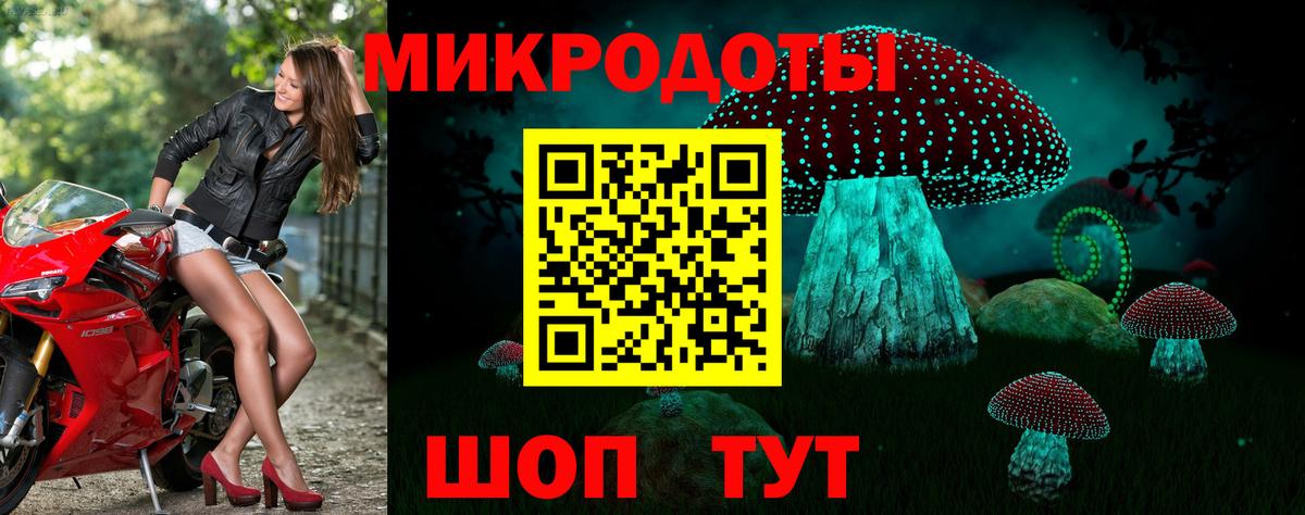 Галлюциногенные грибы прущие грибы Томск