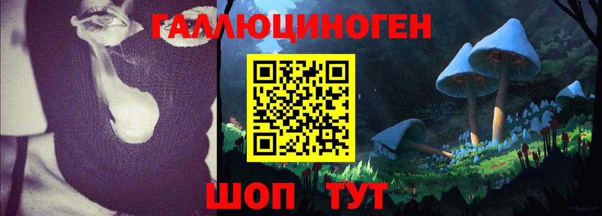 Томск  Псилоцибиновые грибы GOLDEN TEACHER  Вход с VPN 